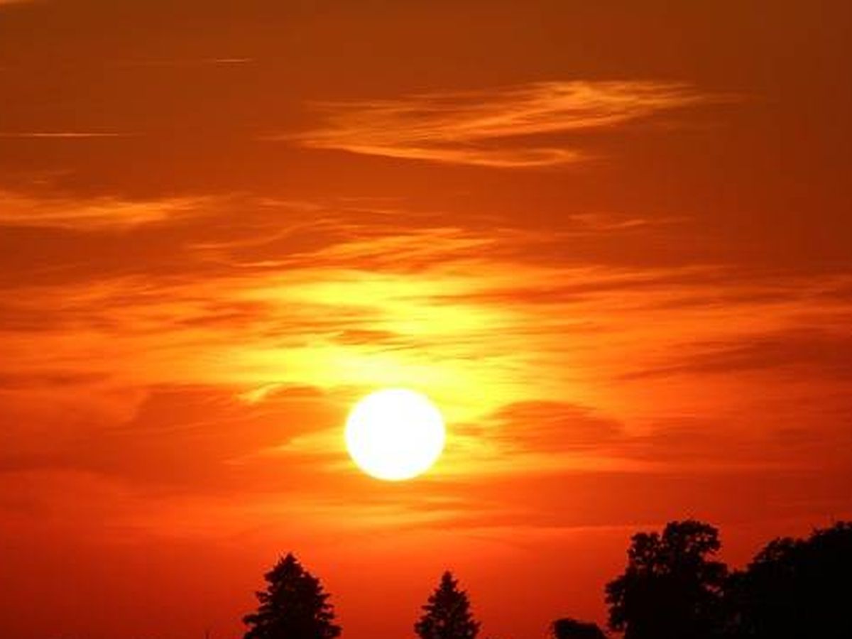 Los Caminos de la&nbsp;vida